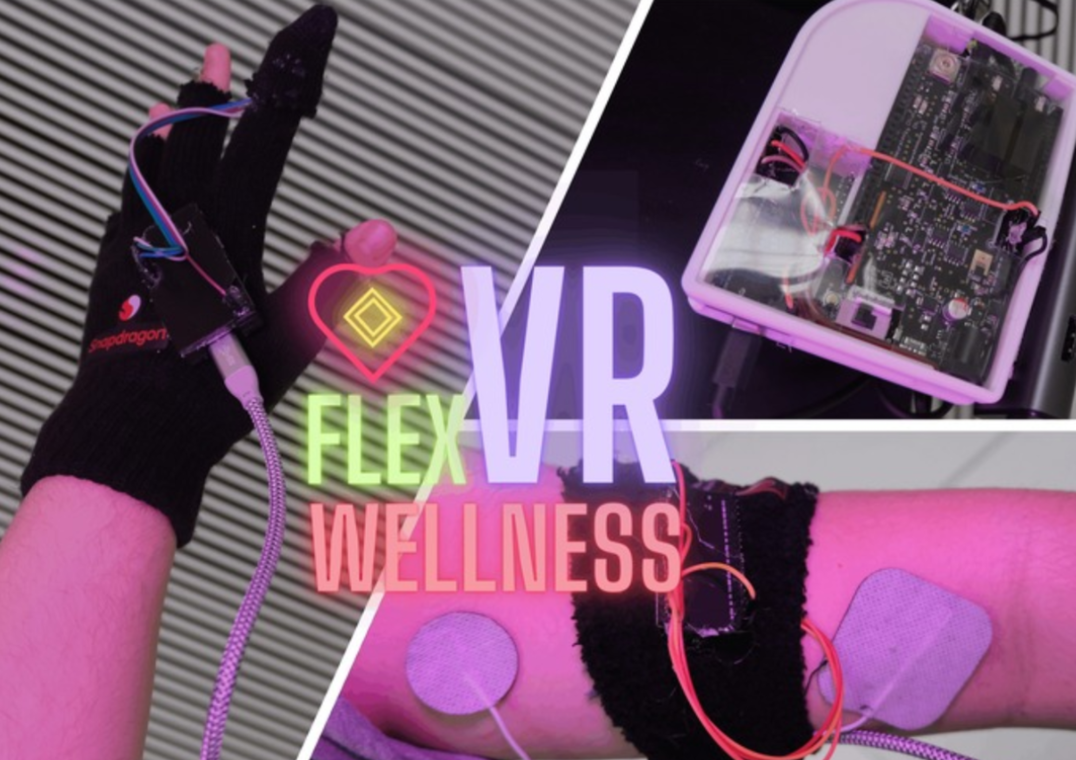 Flex VR Wellness